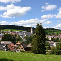 Schönwald Heilklimasteig Blick vom Pfarrwald