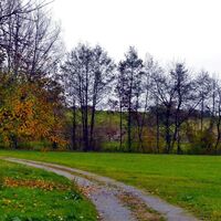 Bei Diefenbach