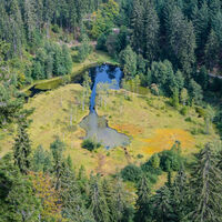 Ellbachsee