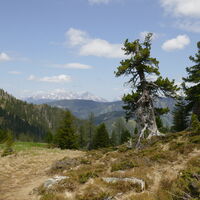 Blick zu den Haller Mauern
