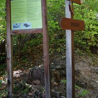 am Wanderweg 15 Richtung Eishöhlen