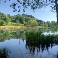 Bassgeigensee