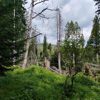 Durchblick zur Marienburg kurz nach der Steinbachklause