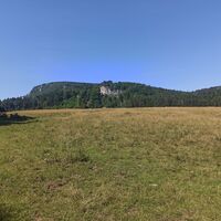 Auf der Seite der Hohen Wand