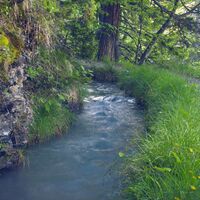 Bisse de Sion in Anzère