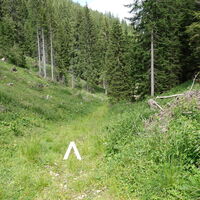 Abstieg durch den Ziehgraben