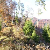 am Kaschlsteig
