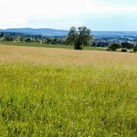 Westweg Etappe 1 Blick von der Schwanner Warte