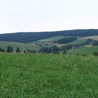 Der Wald und die Weidewirtschaft sorgen für ein abwechslungsreiches Landschaftsbild.