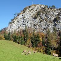 Das Hirschgehege unterhalb des Kleinen Barmsteins ist leider schon wieder Geschichte.