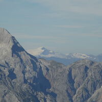 Auch der Venediger lässt sich blicken