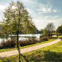 Eifelsteig-2019-118-Bolsdorfer Tälchen, Hillesheim © Eifel Tourismus GmbH, Dominik Ketz