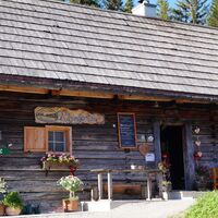 Viehbergalm - Ritzingerhütte