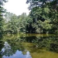 VitalWanderWelt Obernberg an Schwaghofteichen 