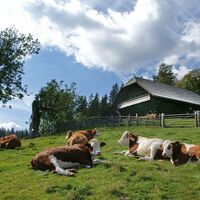 Peter Roseggers Geburtshaus mit Sommerweide