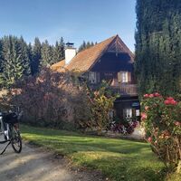 Sandicca-Sanddorngarten, Joglland-Waldheimat in der Oststeiermark