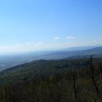 Wilhelmswarte am Anninger