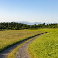 Wanderweg in Eschers im Unterallgäu
