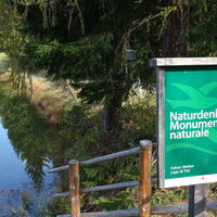 beim Felixer Weiher/Lago di Tret