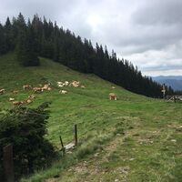 tagestour übelbach - zitoll_img_29558554