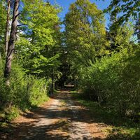 Sternenweg beim Observatorium Lèbe