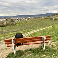 Rückblick auf Baden, im Hintergrund kann man den Schneeberg erkennen
