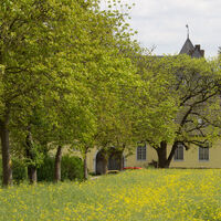 Schloss, Alfter