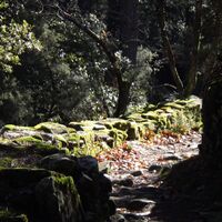 Rando Gorges de Colombieres - Gilles Delerue 11