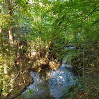 Ilksbach