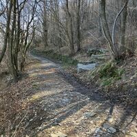 Waldweg in Inverso Pinasca
