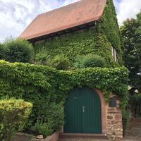 Altes Kelterhaus Grünstadt-Asselheim