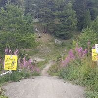Singletrail-Abfahrt
