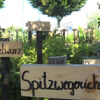 Kräutergarten_Oststeiermark