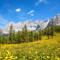 Dachstein Brandriedel