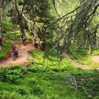 Uphill Flow Trail