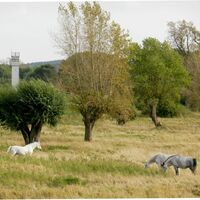 Am grenzhistorischen Rundweg