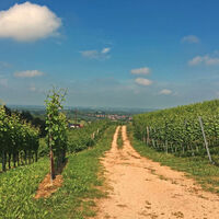 Blick von St. Wendelin ins Rheintal