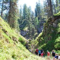 wanderung durch die notgassen-schlucht_img_15623255