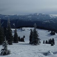 am Tirolerkogelgipfel