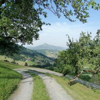 Wildschönau Oberau Zauberwinkel @