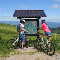 Munstertal - Petit Ballon mit dem MTB