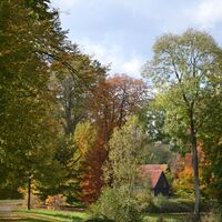 Schlosspark Rheda