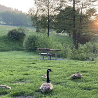 Stryckteich mit Enten bei Sonnenuntergang