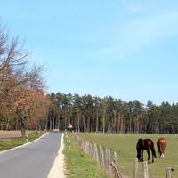 Schafwedel - Ortsausgang Ri Thielitz