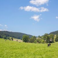 Breitnauer Tal