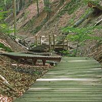Tretschbachtal-Holzstege