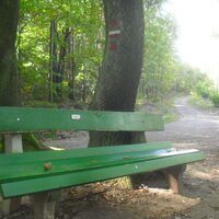 Die grüne Bank lädt zur schattigen Rast im Naturpark Pfälzer Wald ein.