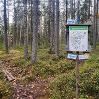 Erkin Pfad, Kajaani