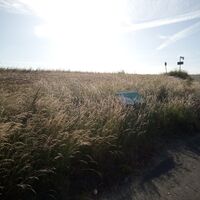 Dieser Weg führt nach oben zum Blick über die Elbe