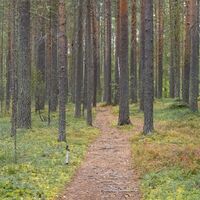 Naturschutzgebiet, Hovatta